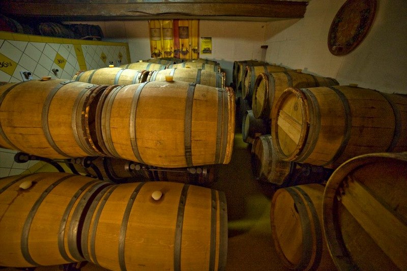 Domaine Charrier-Carbonnieu - photo 2