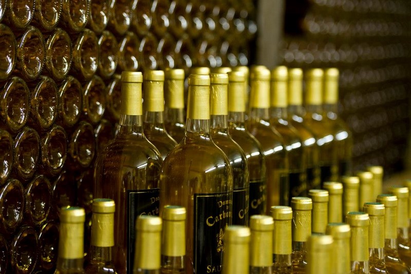 Domaine Charrier-Carbonnieu - photo 3