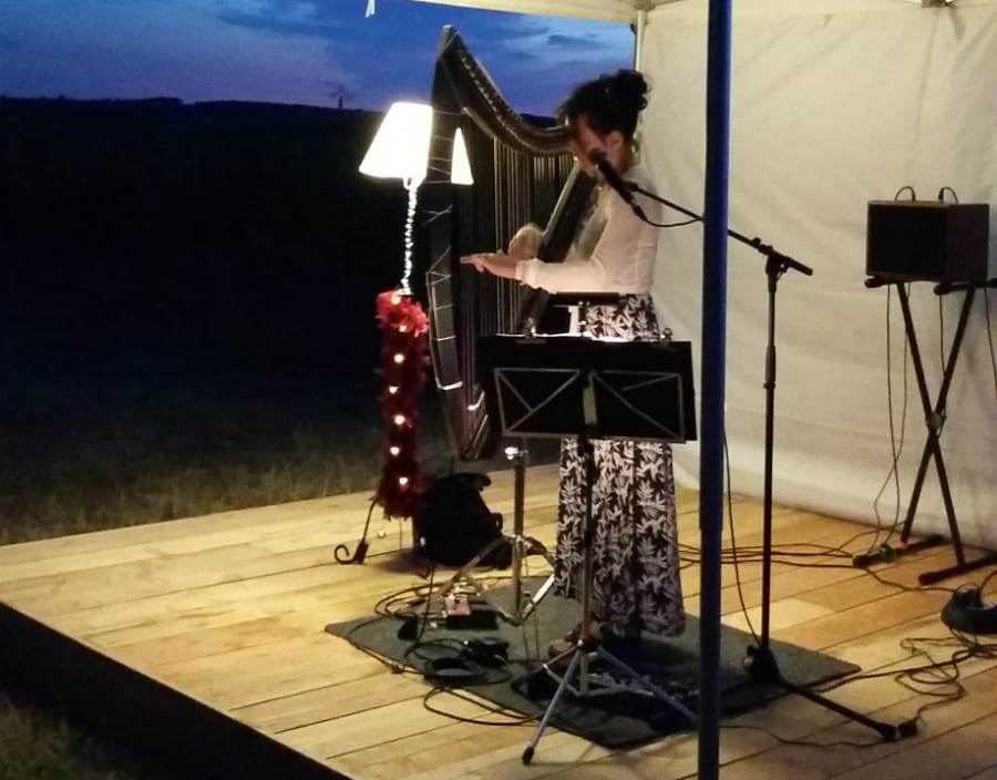 Domaine de Ferrant - SCEA Vignobles Vuillien - photo 4