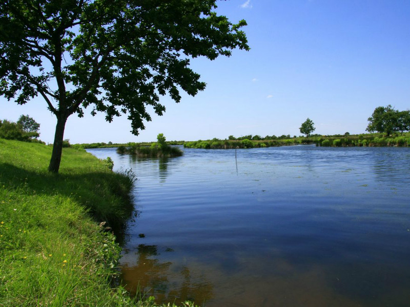 A Audenge, sur le Domaine de Graveyron entre terre et eaux