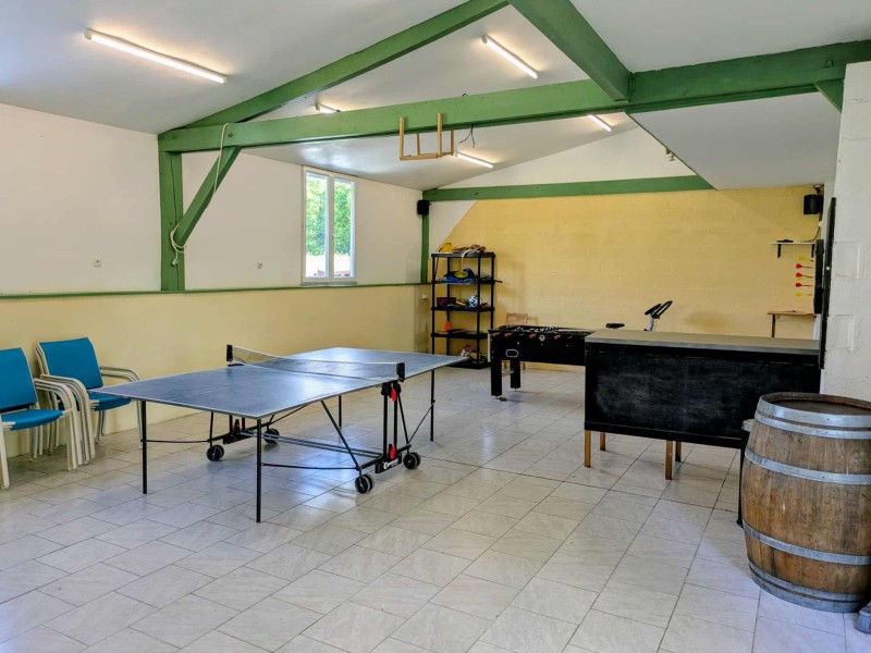 Domaine de Grolhier - La Grange, Busserolles - photo 6