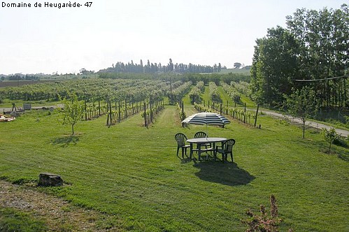 Domaine de Heugarède - La belle fruitière