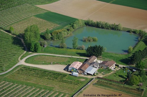 Domaine de Heugarède - La belle fruitière - photo 2