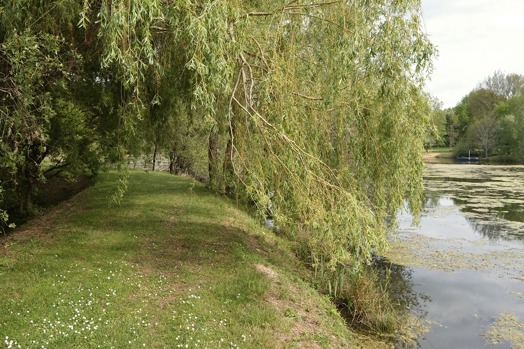 Les Cabanes de Lara - photo 3