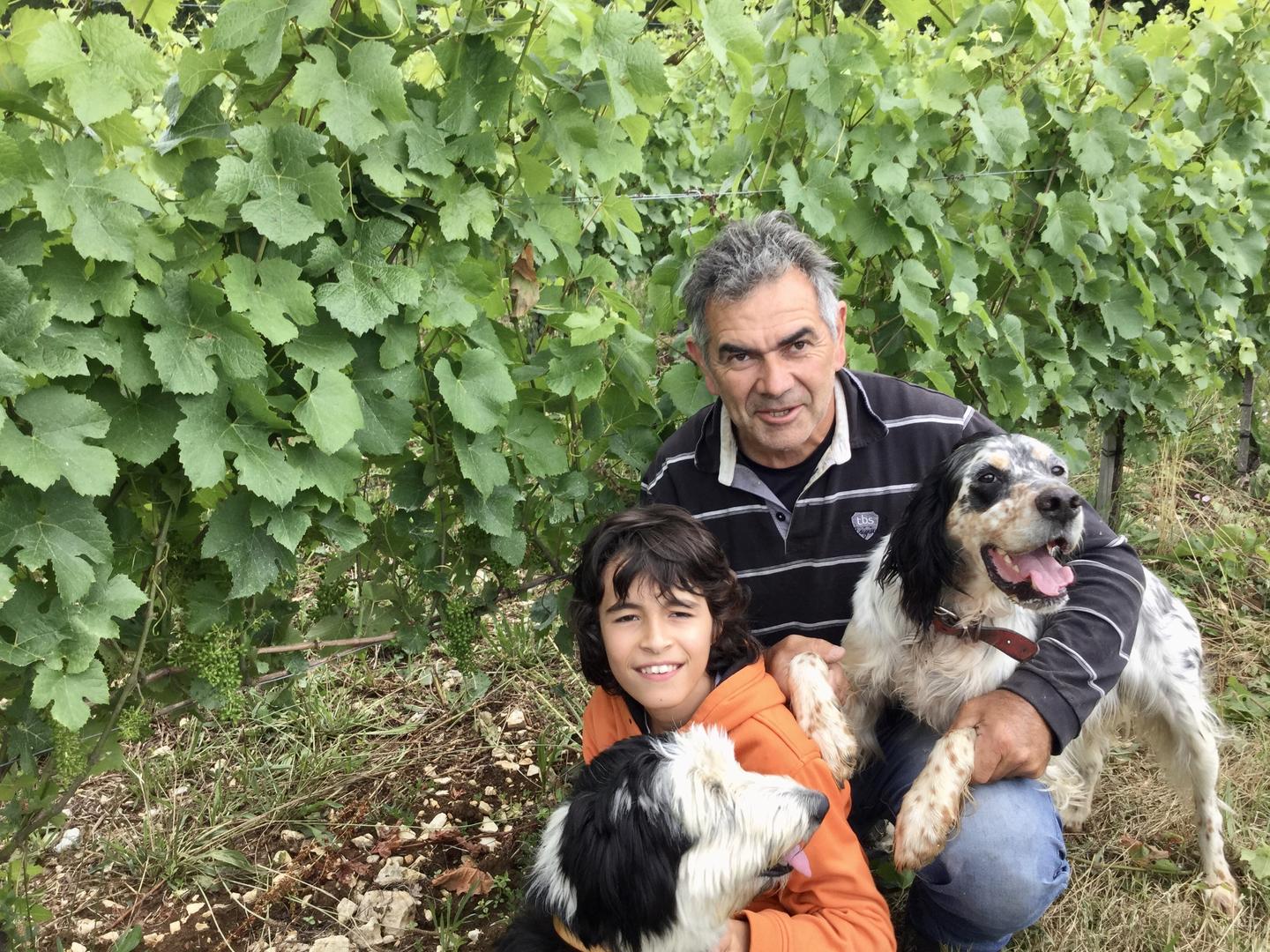 Domaine de Lasfargues - photo 2