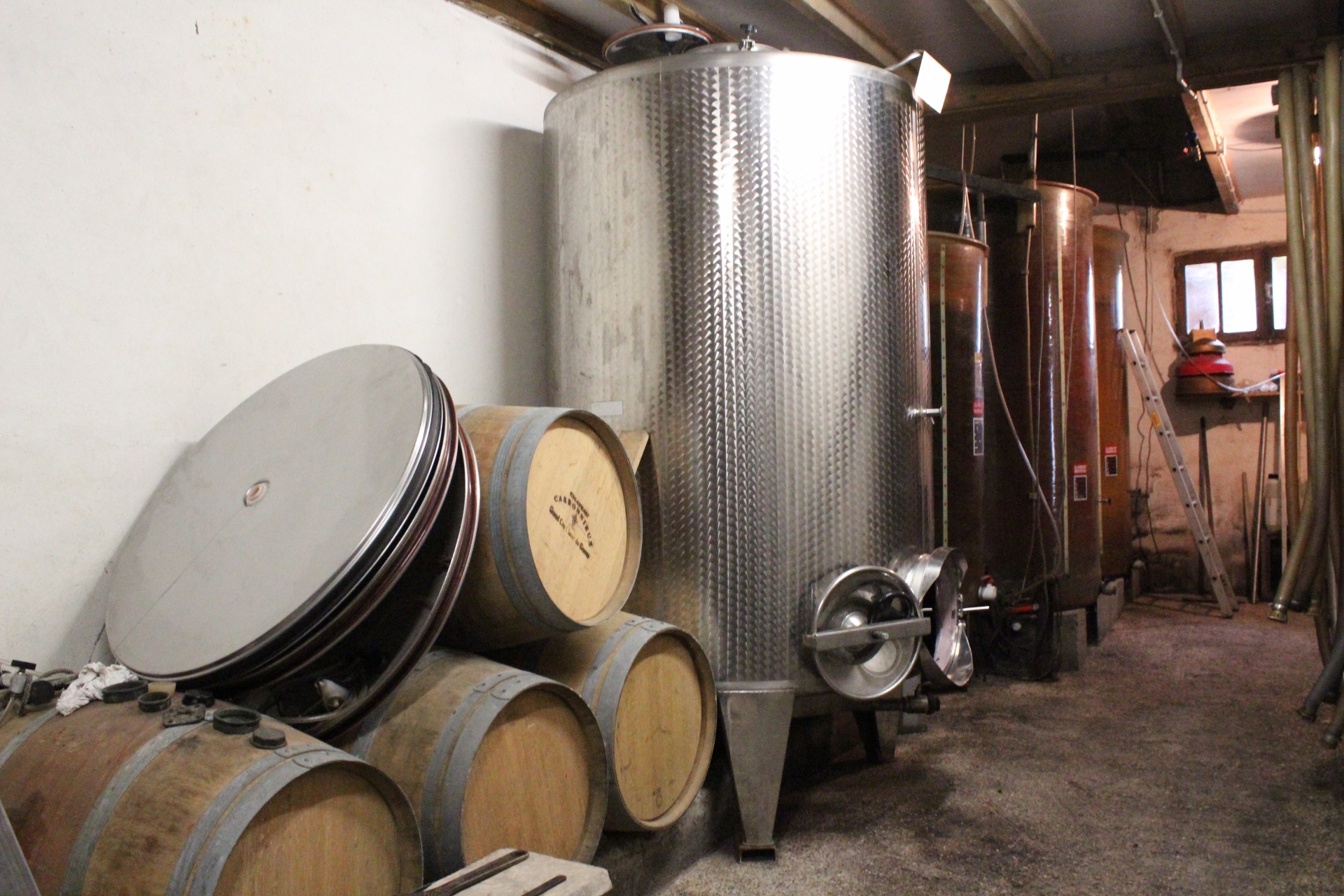 Domaine du Lisé - photo 2