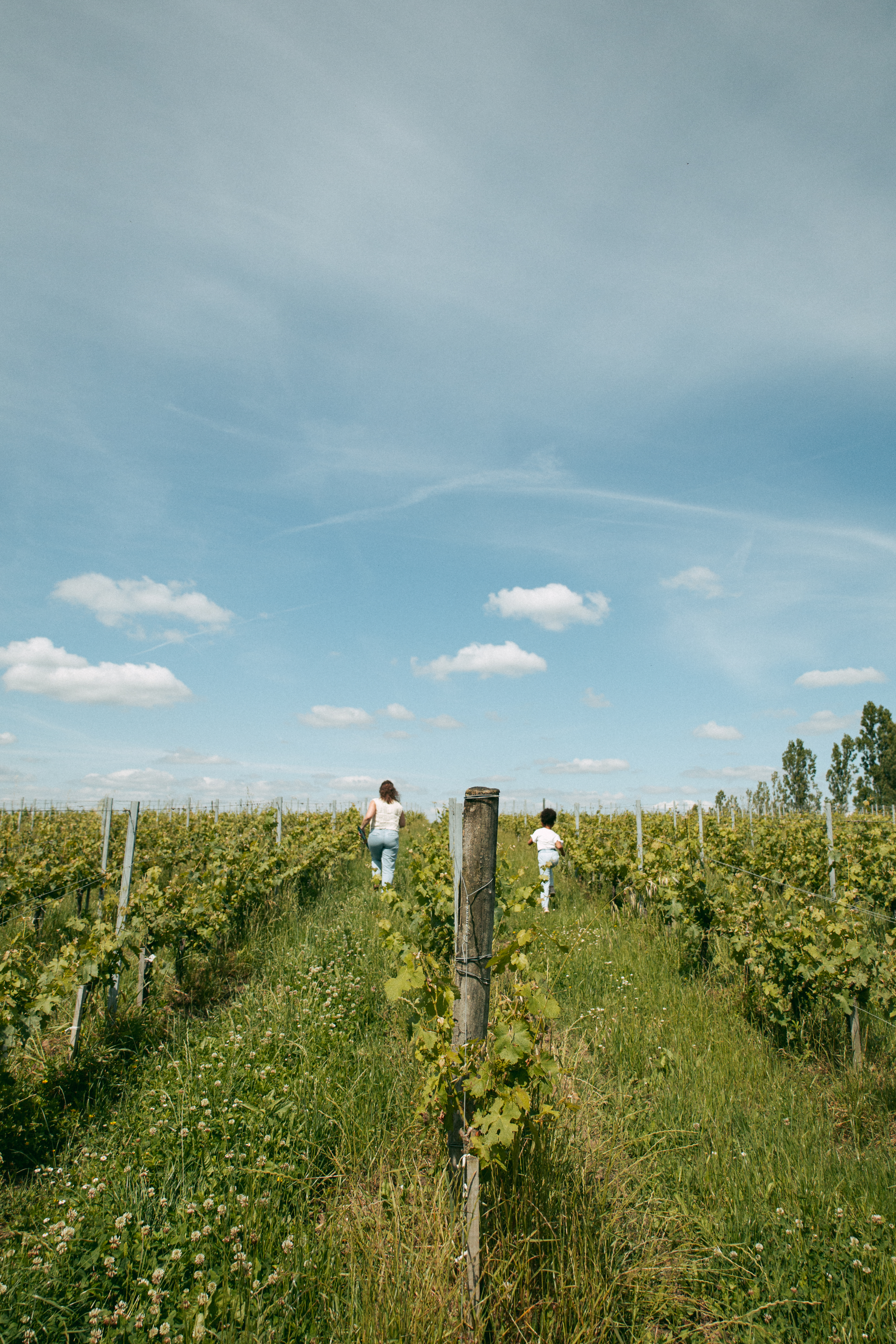 Domaine de Malagar, Saint-Maixant - photo 7