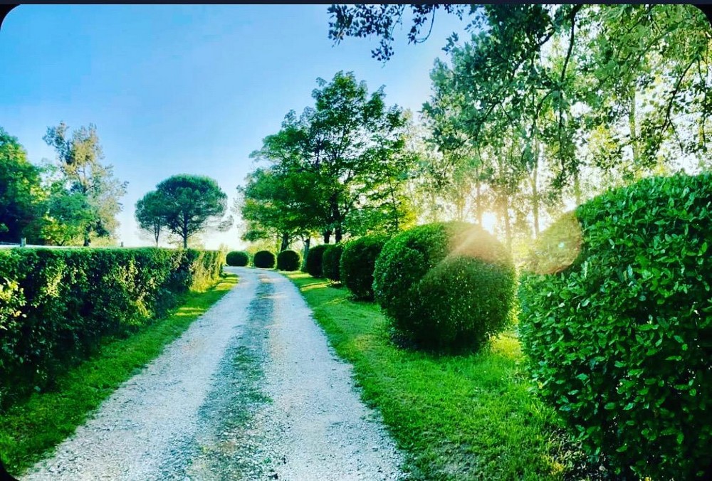 Les gîtes du Domaine de Marthès - Gîte Sainte Marthe, Nérac - photo 8
