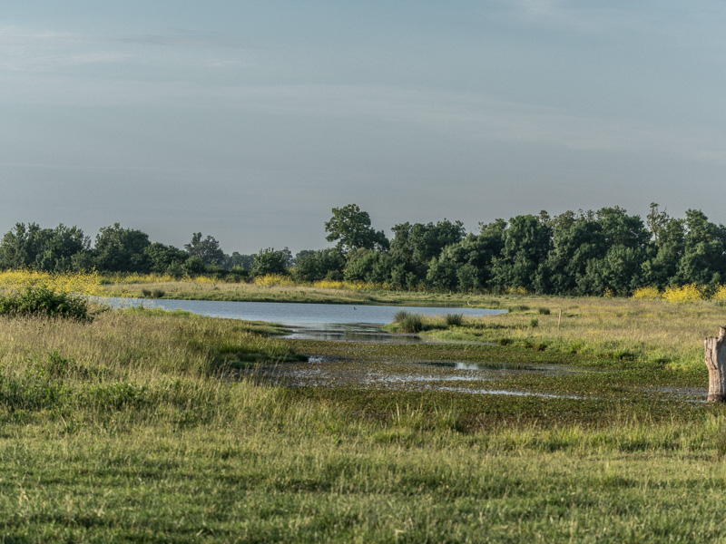 Domaine de Pachan, Ludon-Médoc - photo 2