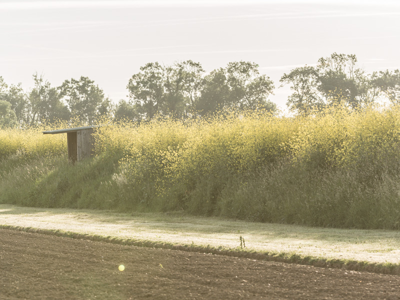 Domaine de Pachan, Ludon-Médoc - photo 8