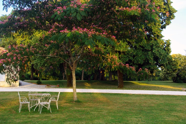 Domaine de Pécarrère - photo 3