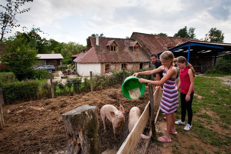Camping à la ferme du Domaine de Royères - photo 4