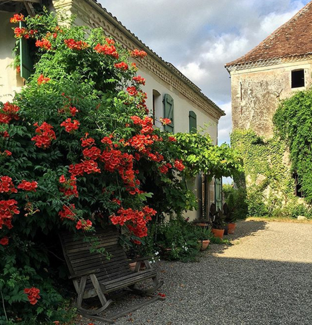 Galerie d'exposition et jardin d'agrément au domaine de Sengresse, Souprosse - photo 2