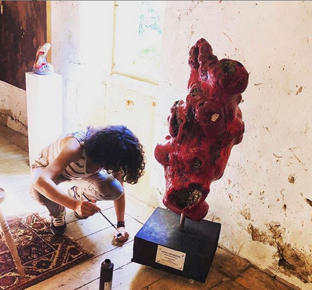 Galerie d'exposition et jardin d'agrément au domaine de Sengresse, Souprosse - photo 3