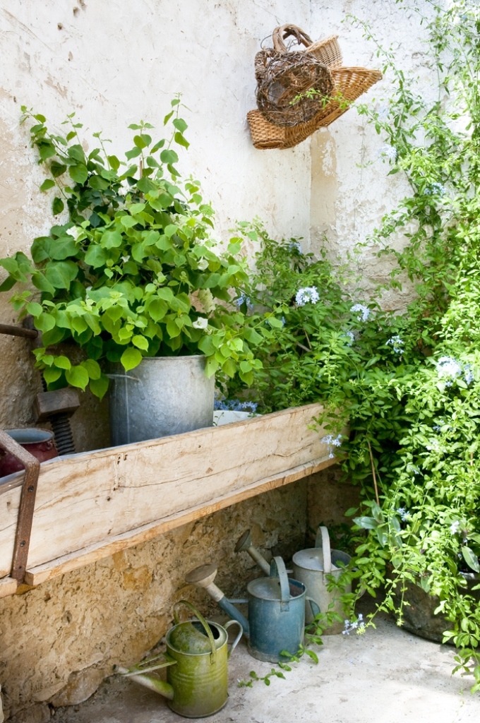 Galerie d'exposition et jardin d'agrément au domaine de Sengresse, Souprosse - photo 5