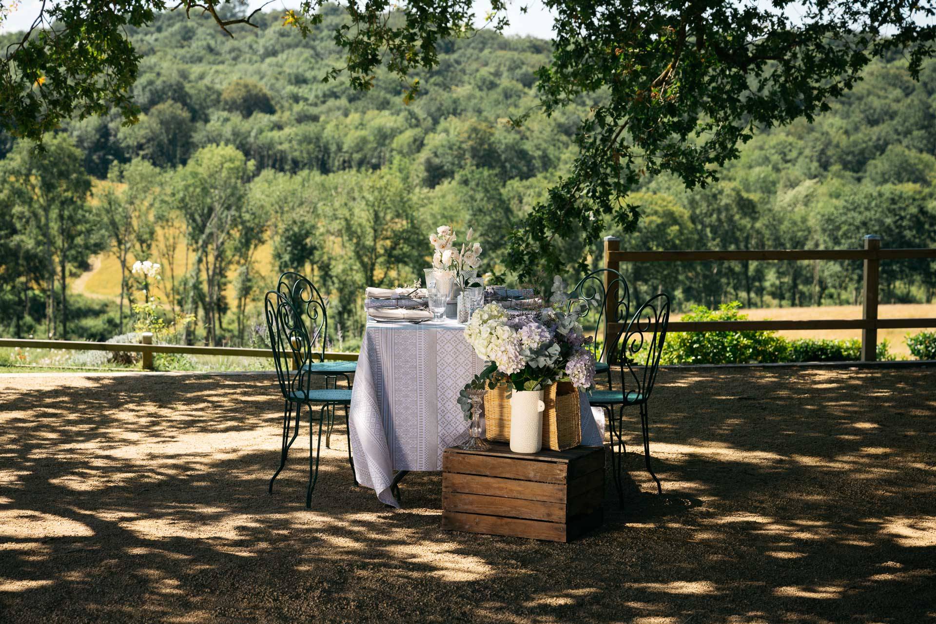 Le Domaine de Tilh — photo 2
