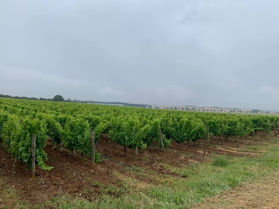 Domaine de la Roussille