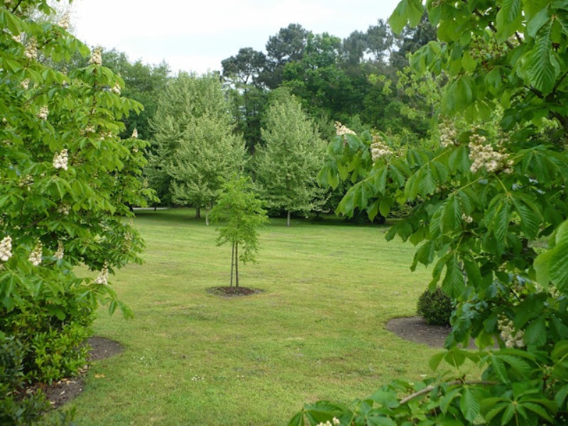 Domaine de la Vernerie, Saint-André-de-Cubzac