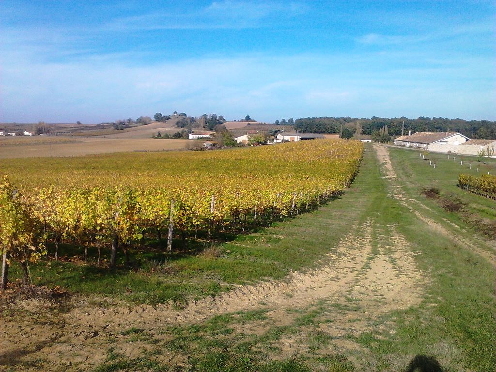 Domaine La Tuilerie Labreille - photo 2