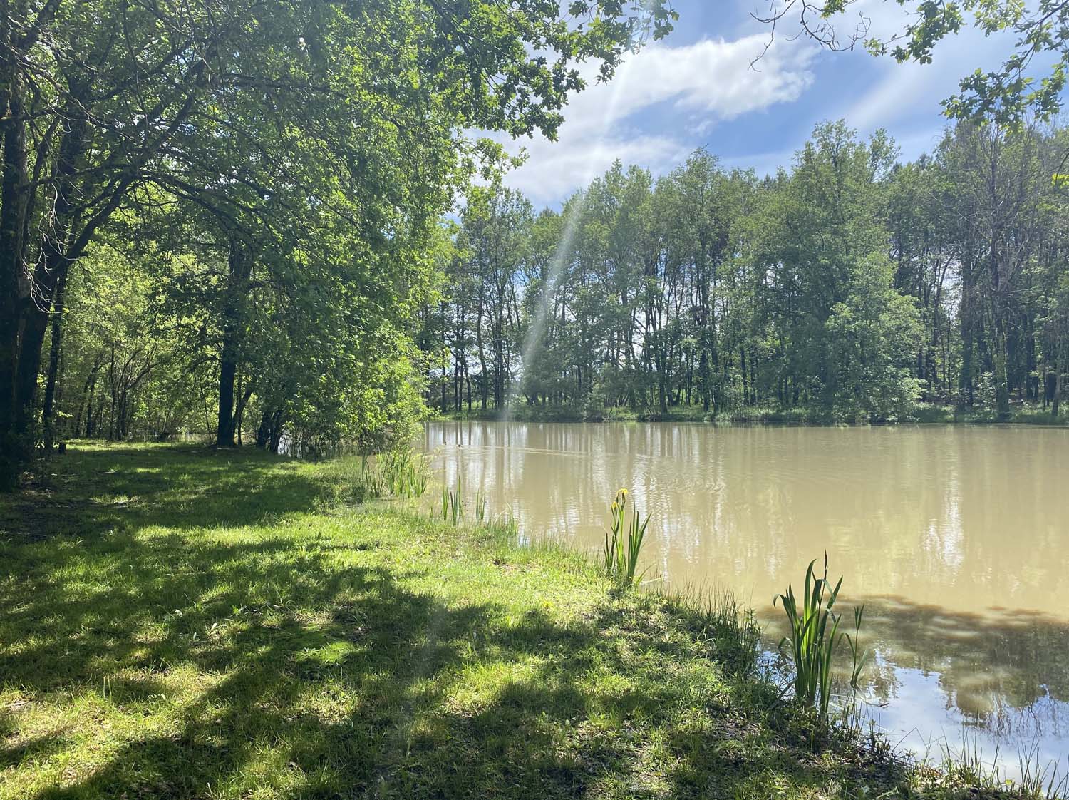 Domaine de Lithos, Fossemagne - photo 18