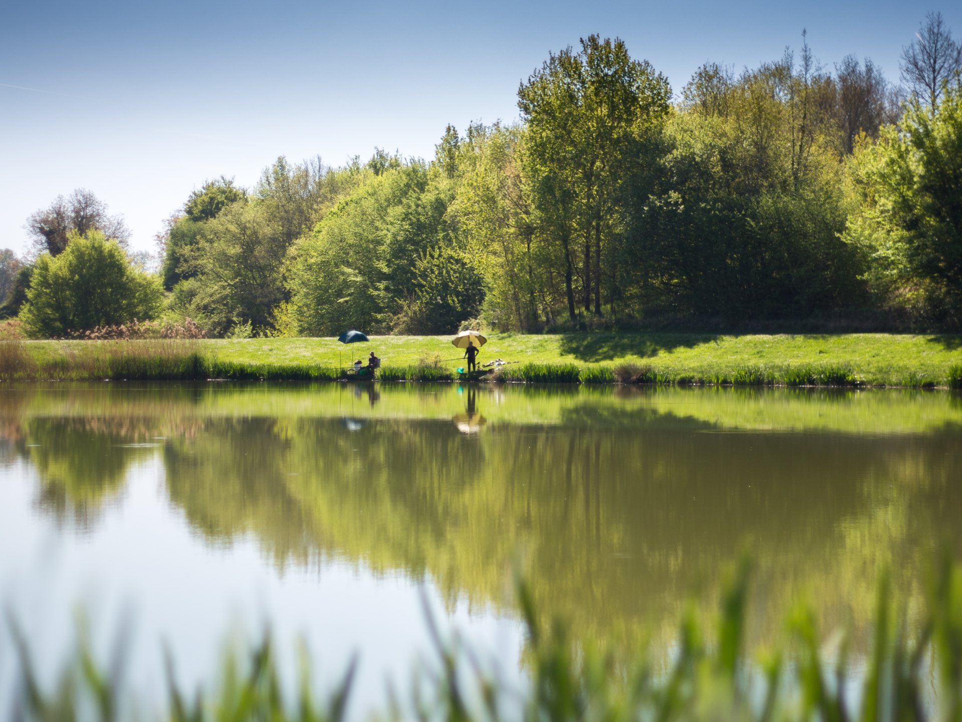 Domaine nature et de loisirs de Blasimon, Blasimon - photo 7