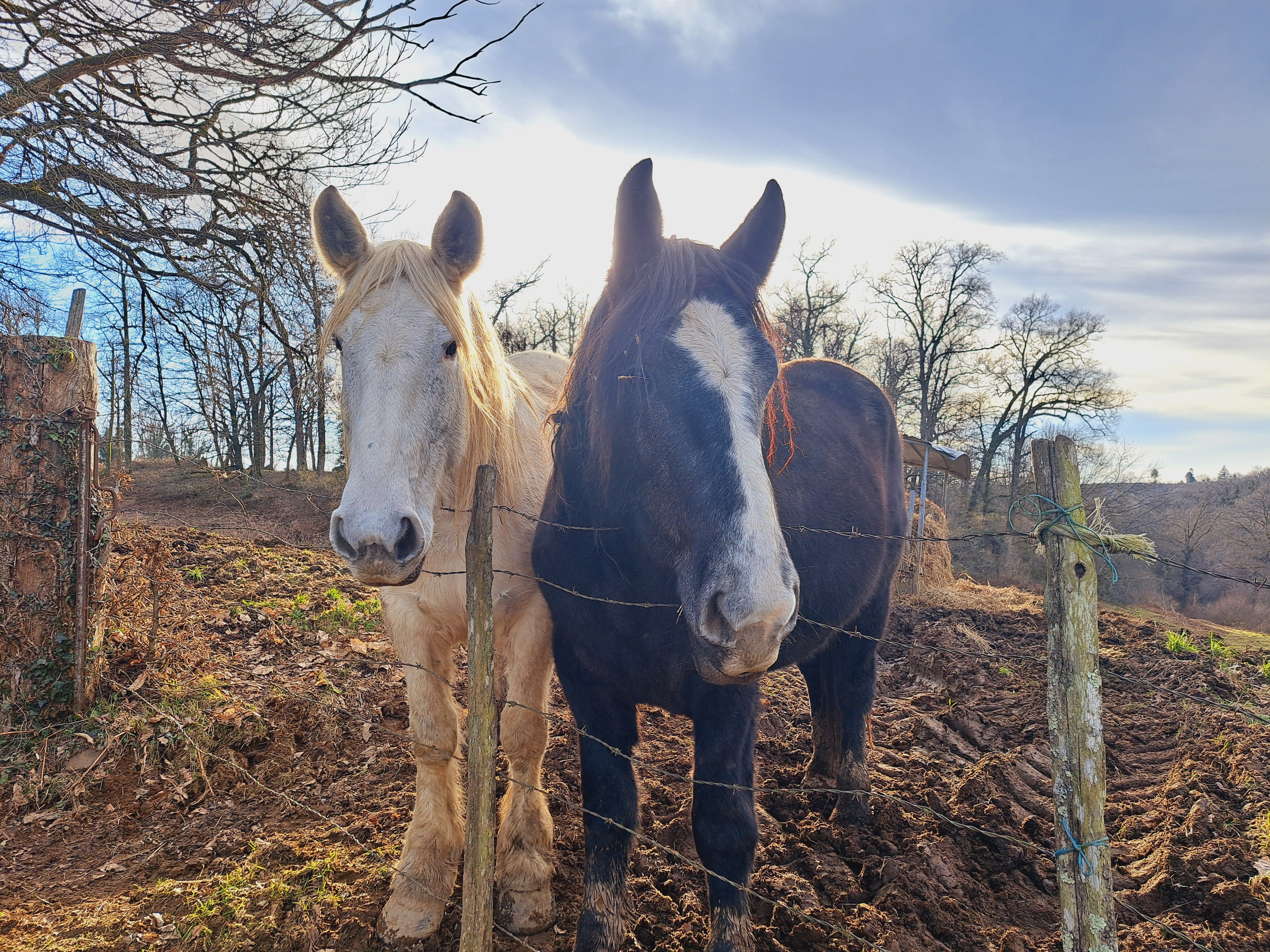 La Siauve, Beyssac - photo 7