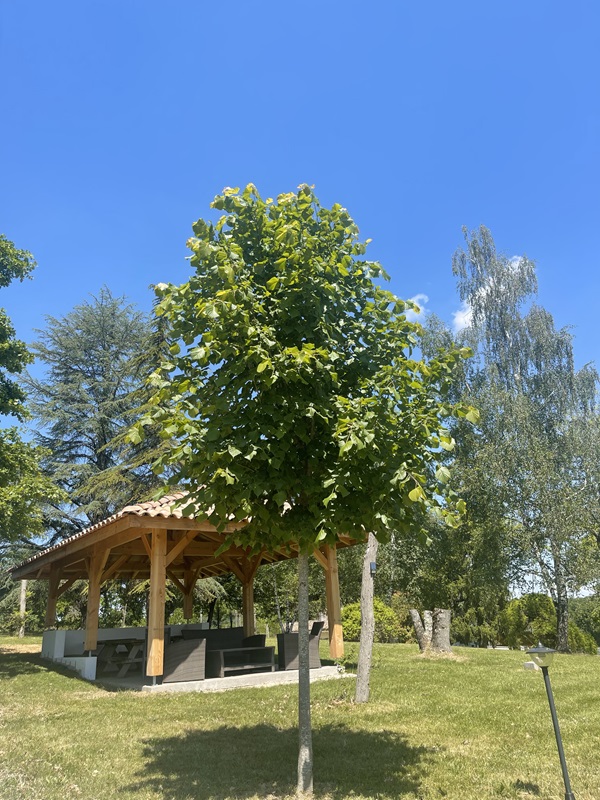 Chambres d'Hôtes du Domaine des Peyriès, Saint-Barthélemy-d'Agenais - photo 4