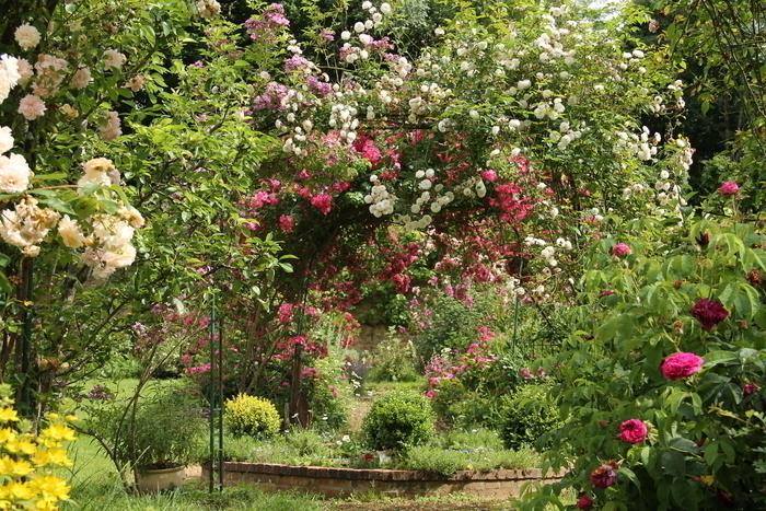 Rendez-vous aux Jardins - Visite guidée du domaine des Roches Blanches — visuel événement
