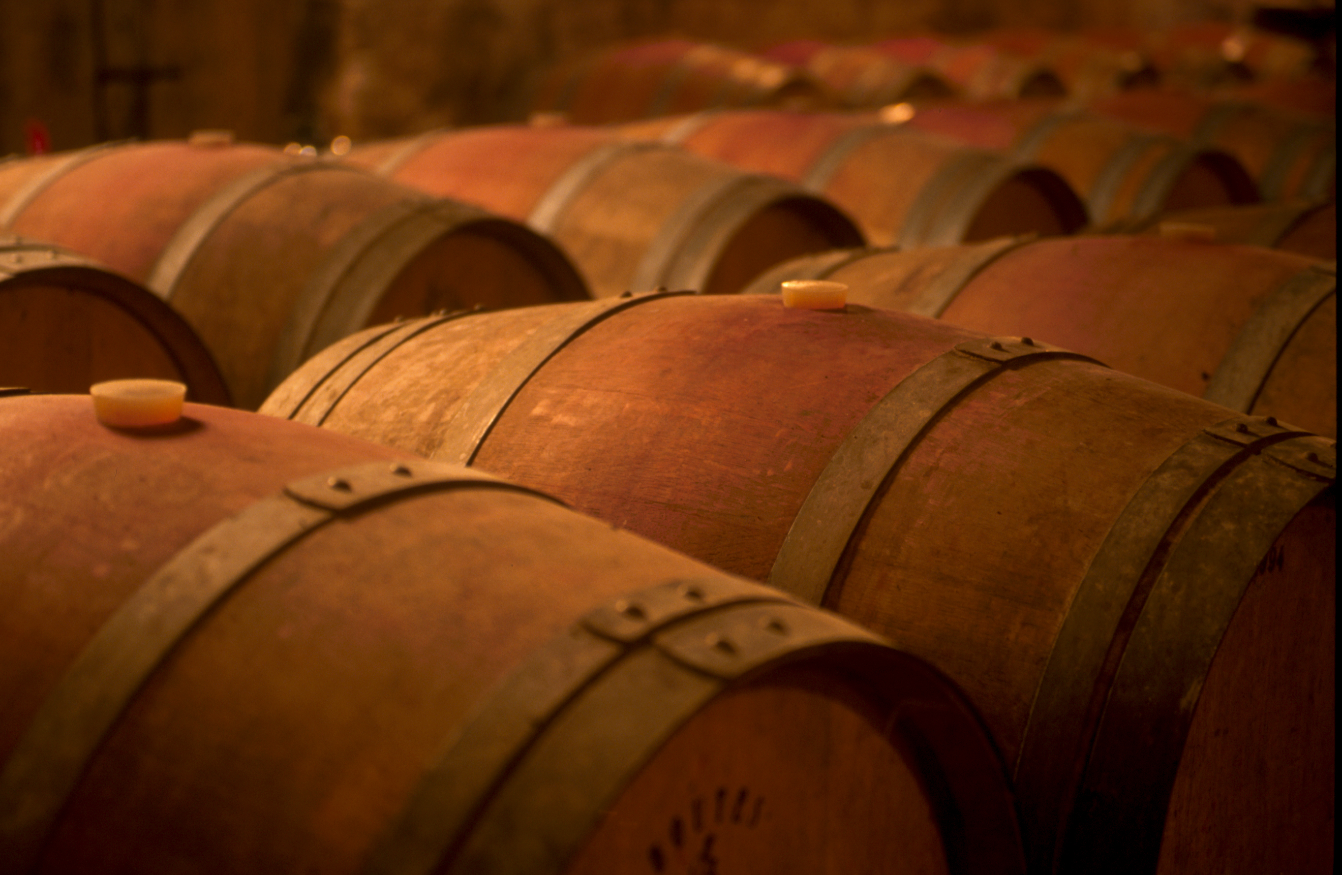 Domaine du Grand Ormeau - photo 5