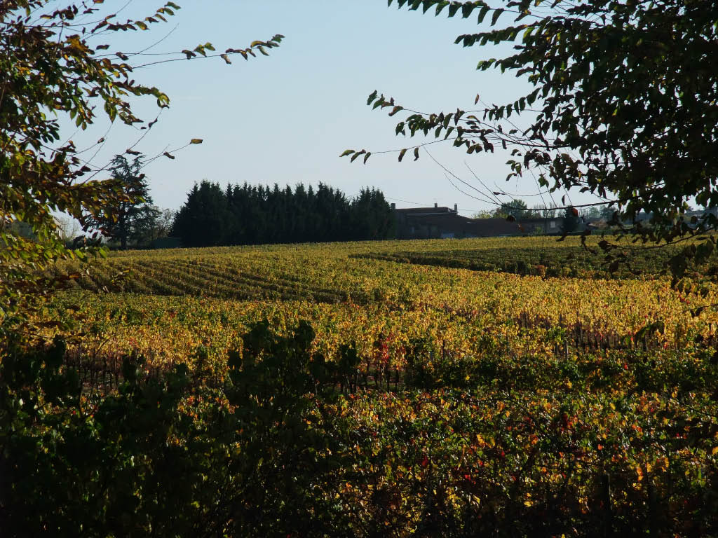 Domaine du Grand Ormeau - photo 3