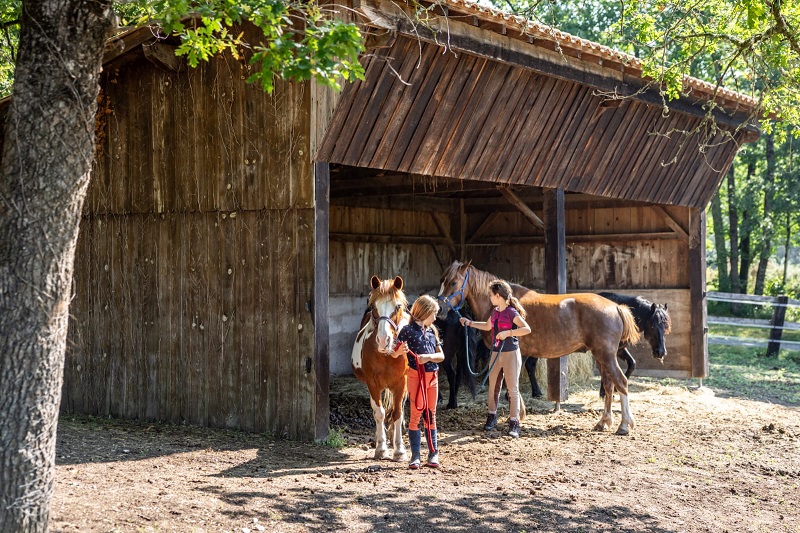 Domaine du pré de l'étang - photo 5