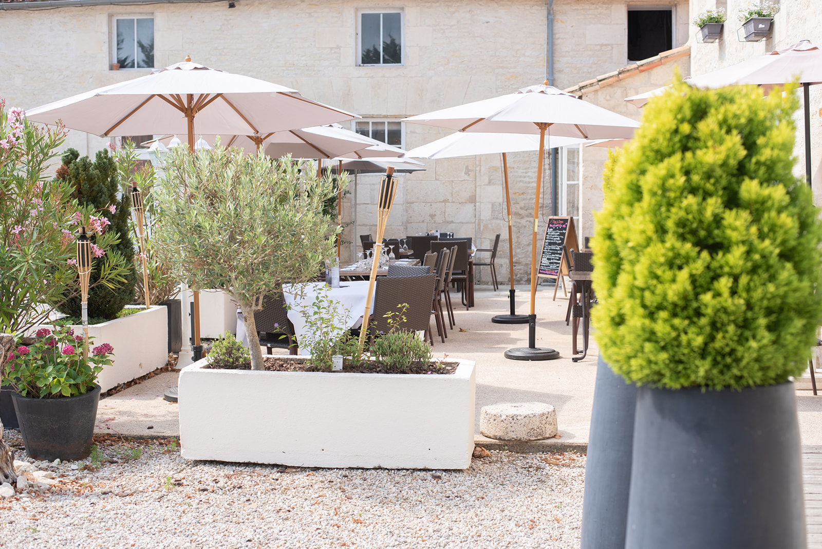 Domaine du Griffier - photo 2