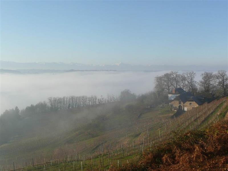 Domaine Guirardel