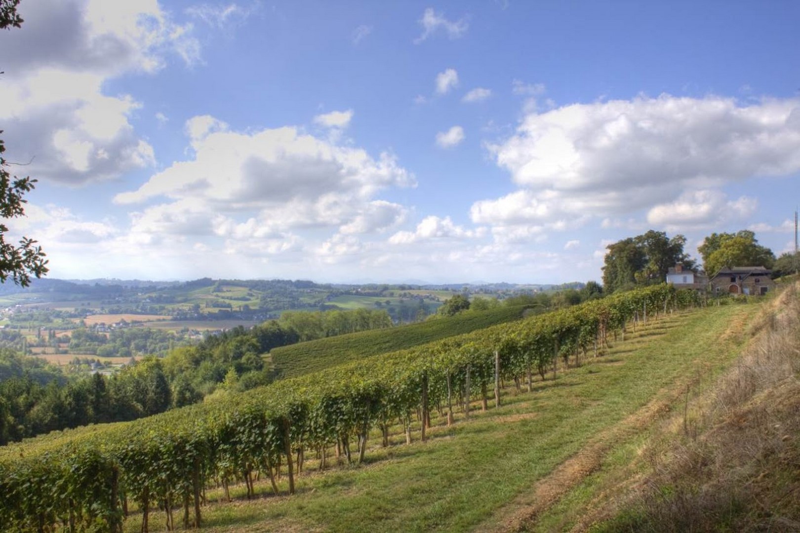 Domaine Guirardel — photo 2