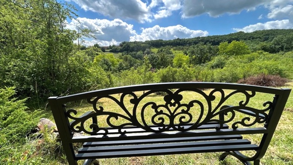 Domaine de Gargoris - la Maison d'Amis, Pont-du-Casse - photo 5