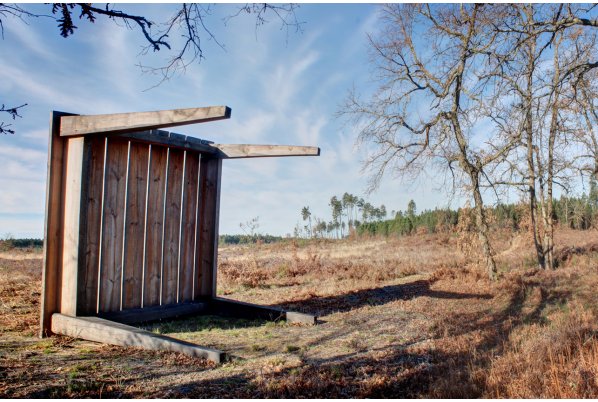 La Forêt d'Art Contemporain : Aux impétueuses manoeuvres de l'imprévu, oeuvre n°02