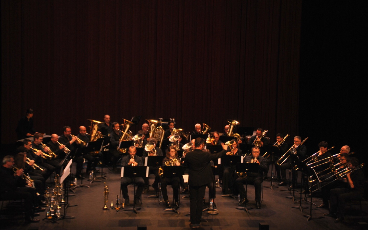 Concert "Donibaneko Haizeak" — visuel événement