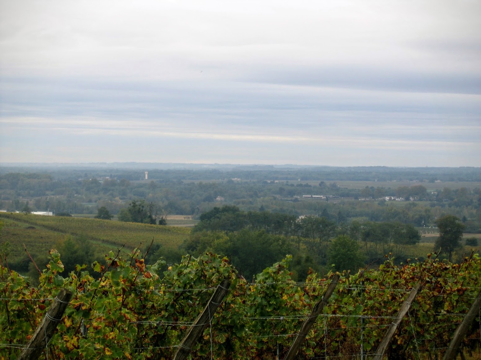 Boucle de Rions, Rions