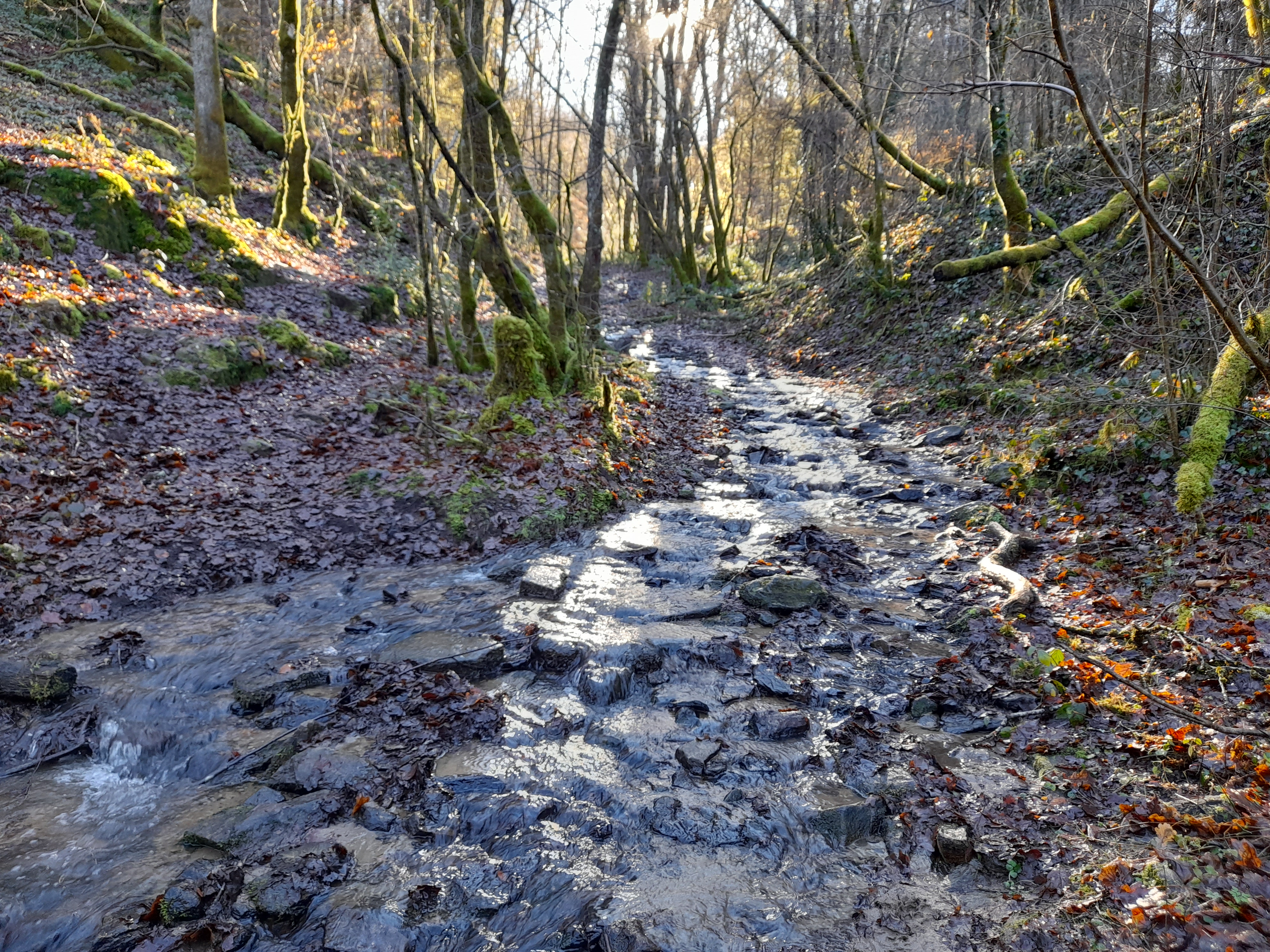 Du Lac au deux Moulins, Vigeois - photo 4
