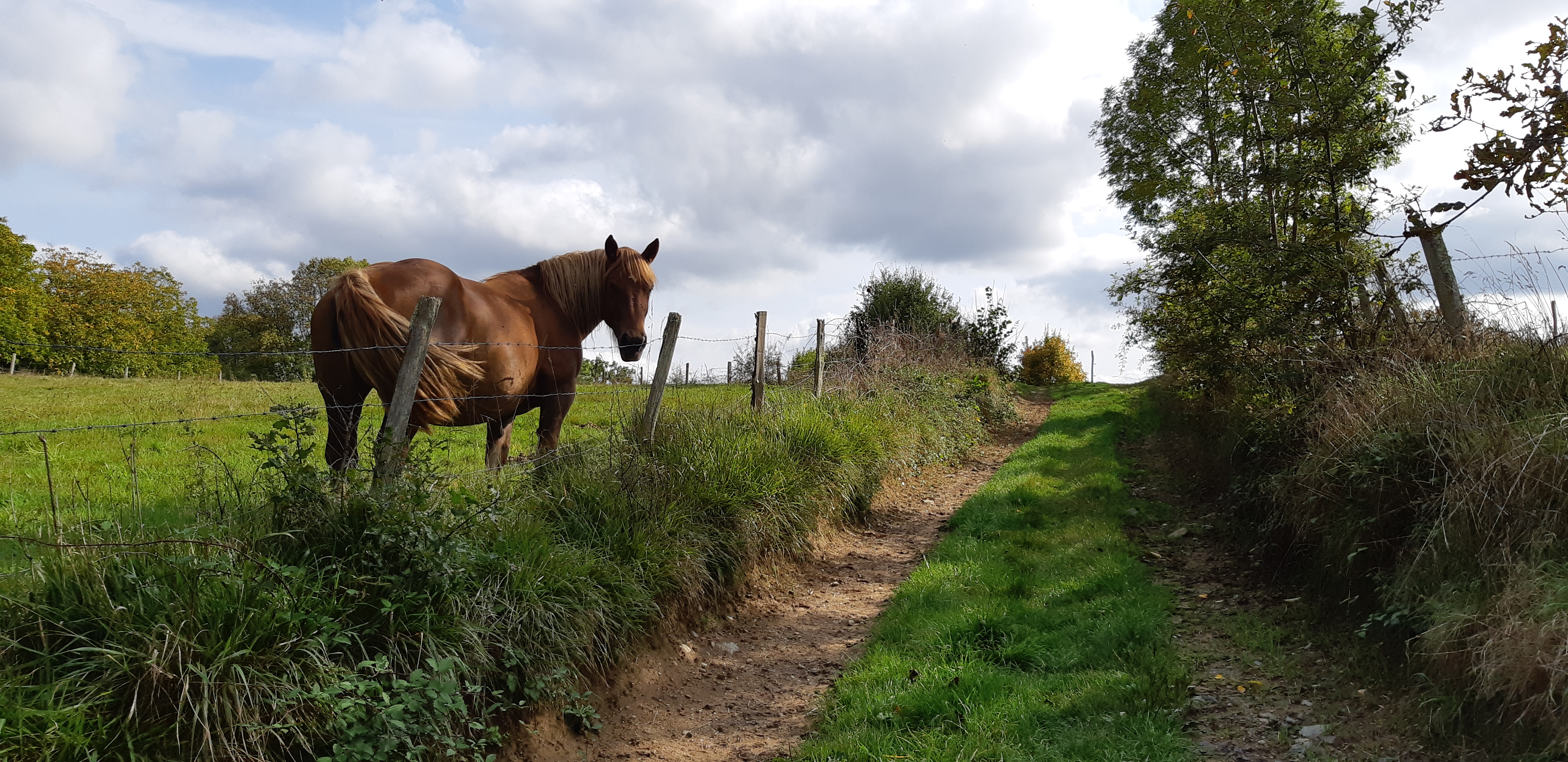 Circuit du P.O.C. au dolmen, Espartignac - photo 5