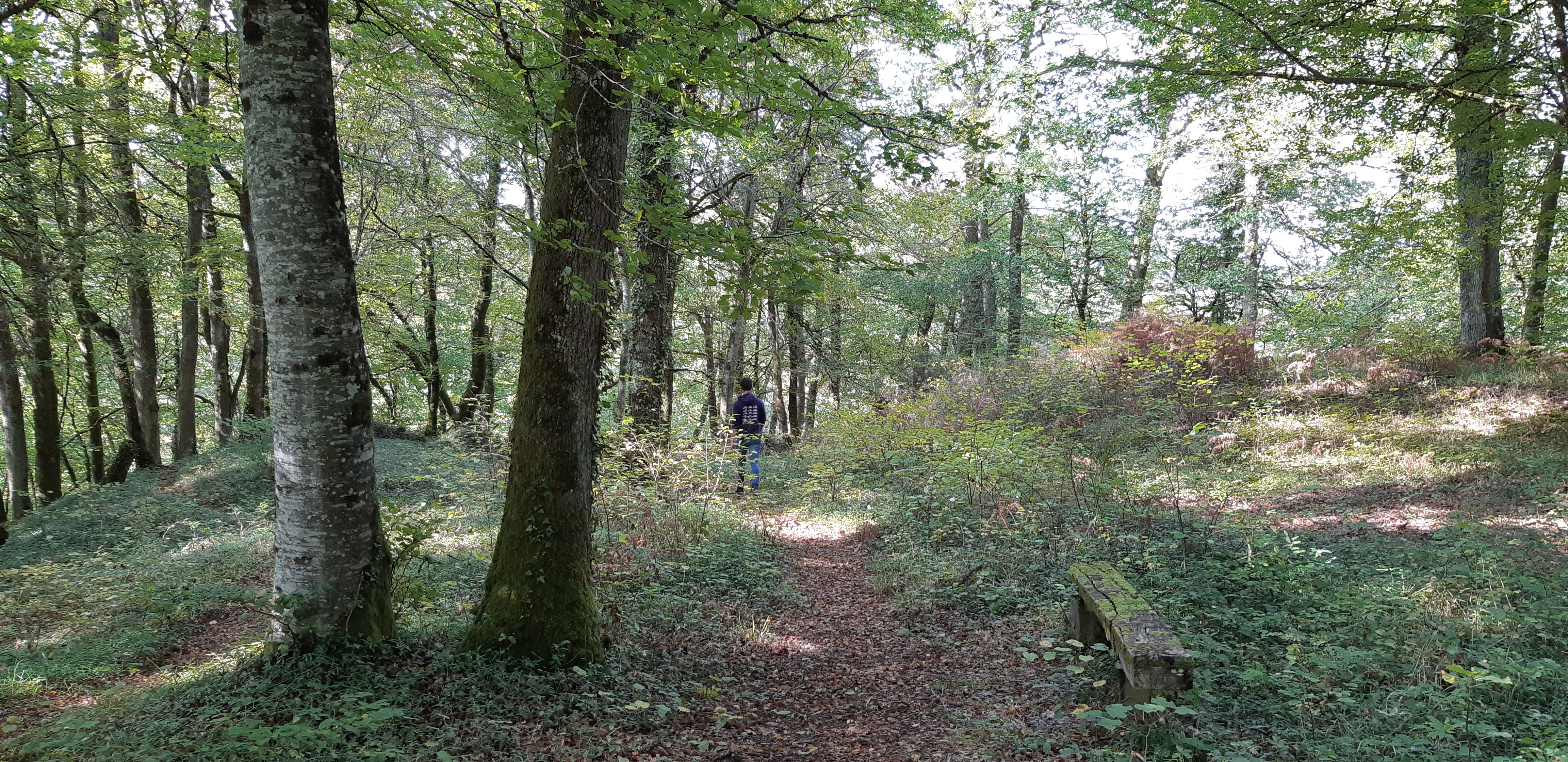 Circuit du P.O.C. au dolmen, Espartignac - photo 2