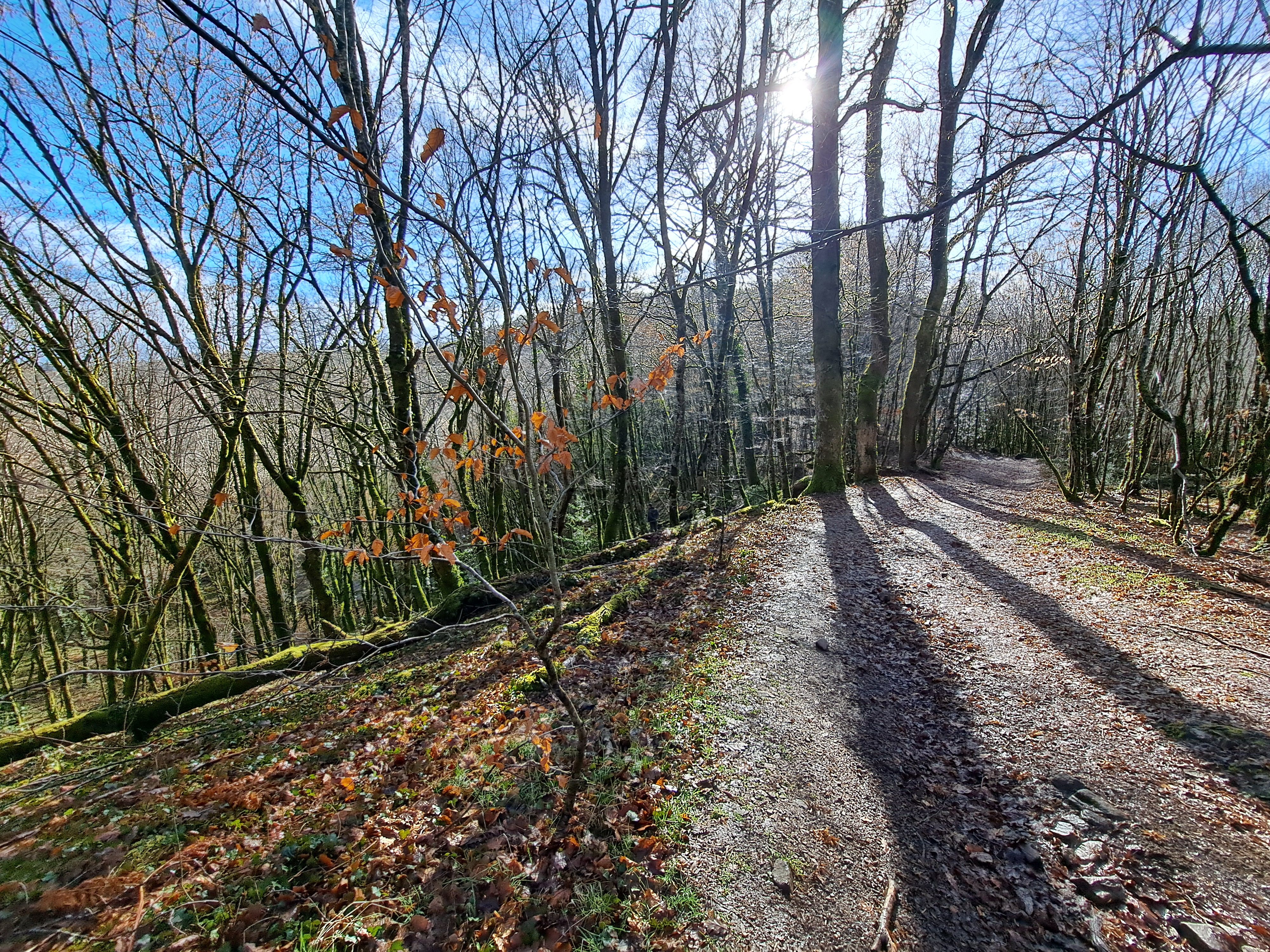 Du Lac au deux Moulins, Vigeois - photo 3