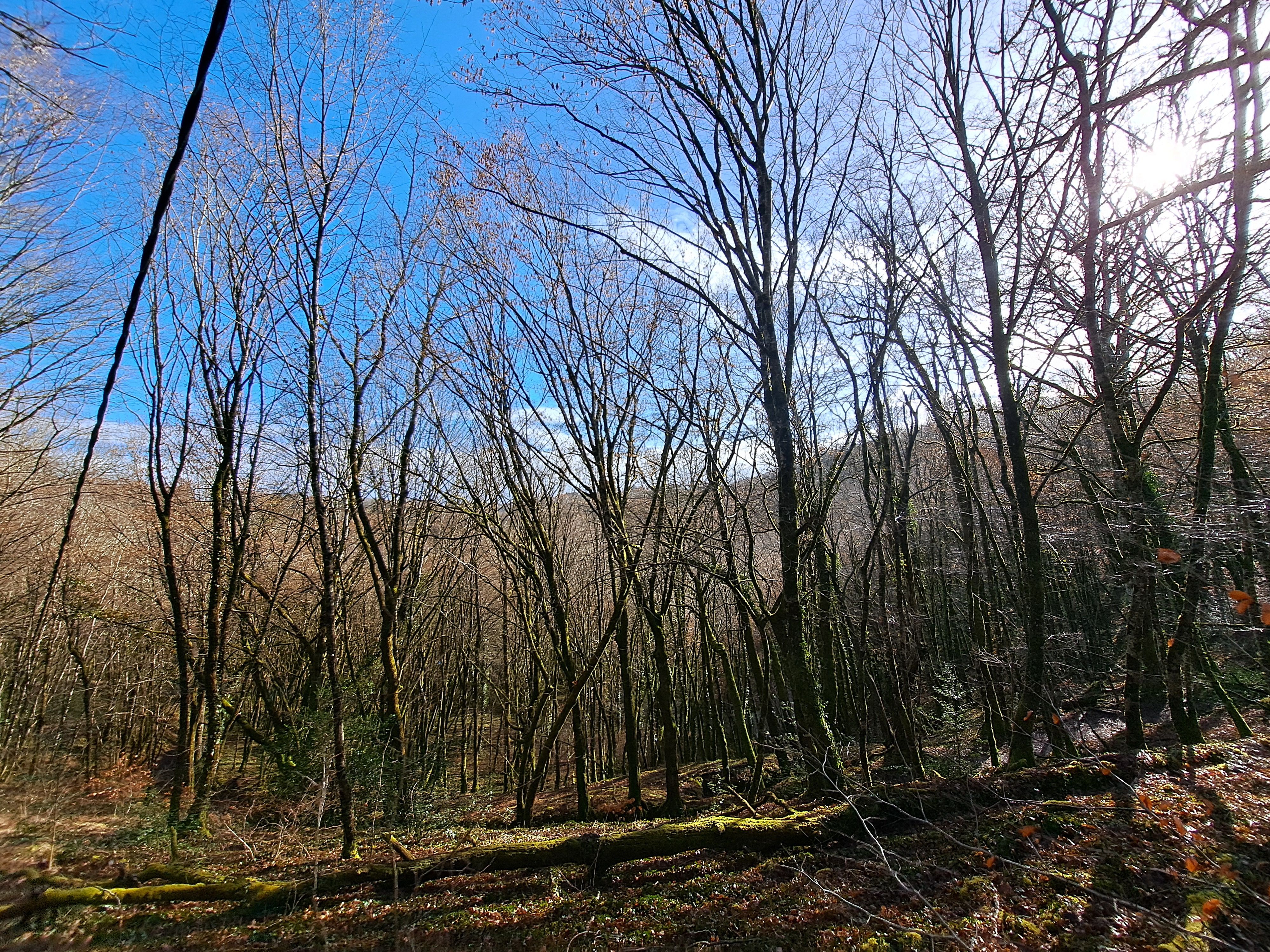 Du Lac au deux Moulins, Vigeois - photo 7