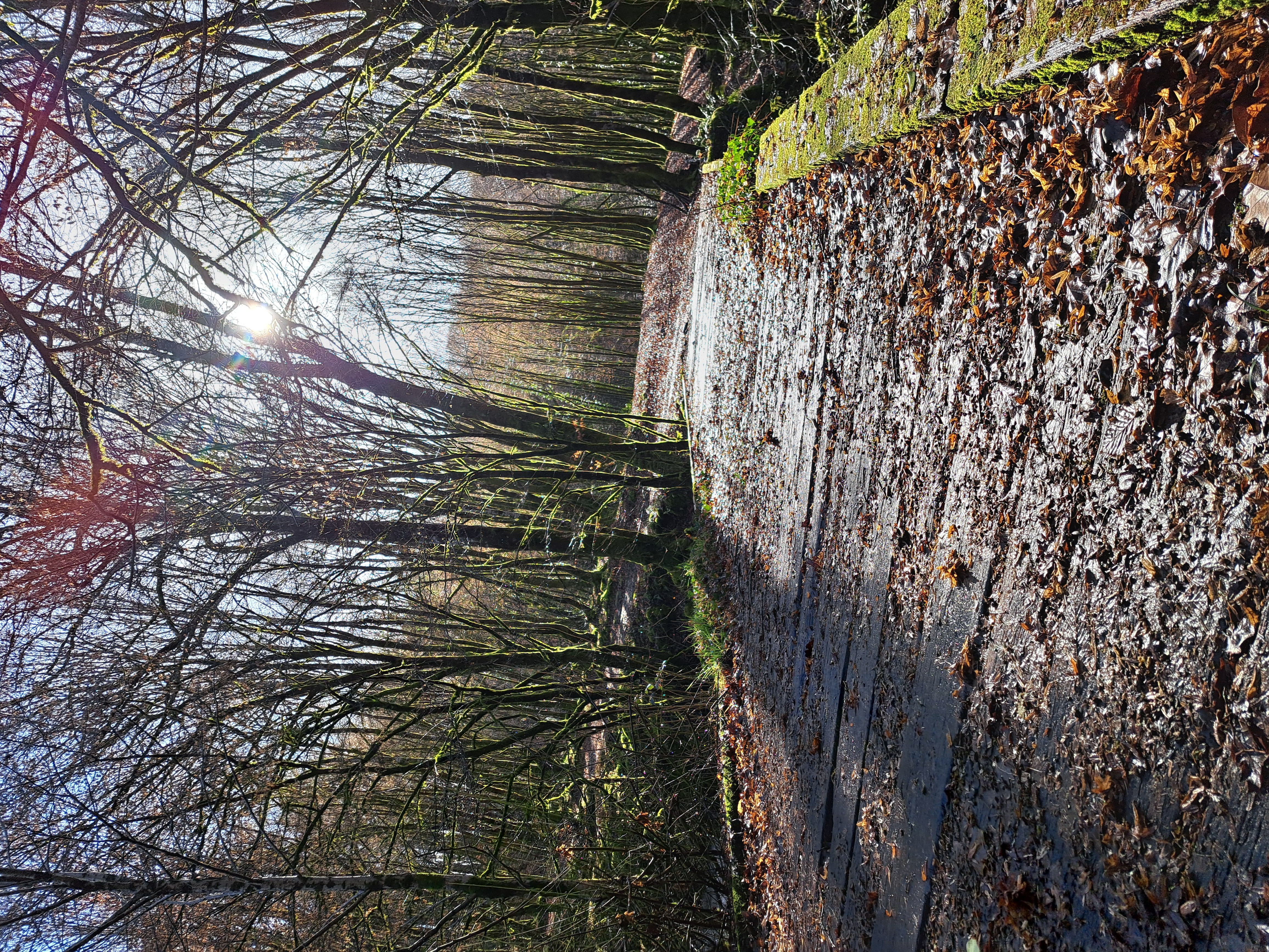 Du Lac au deux Moulins, Vigeois - photo 2