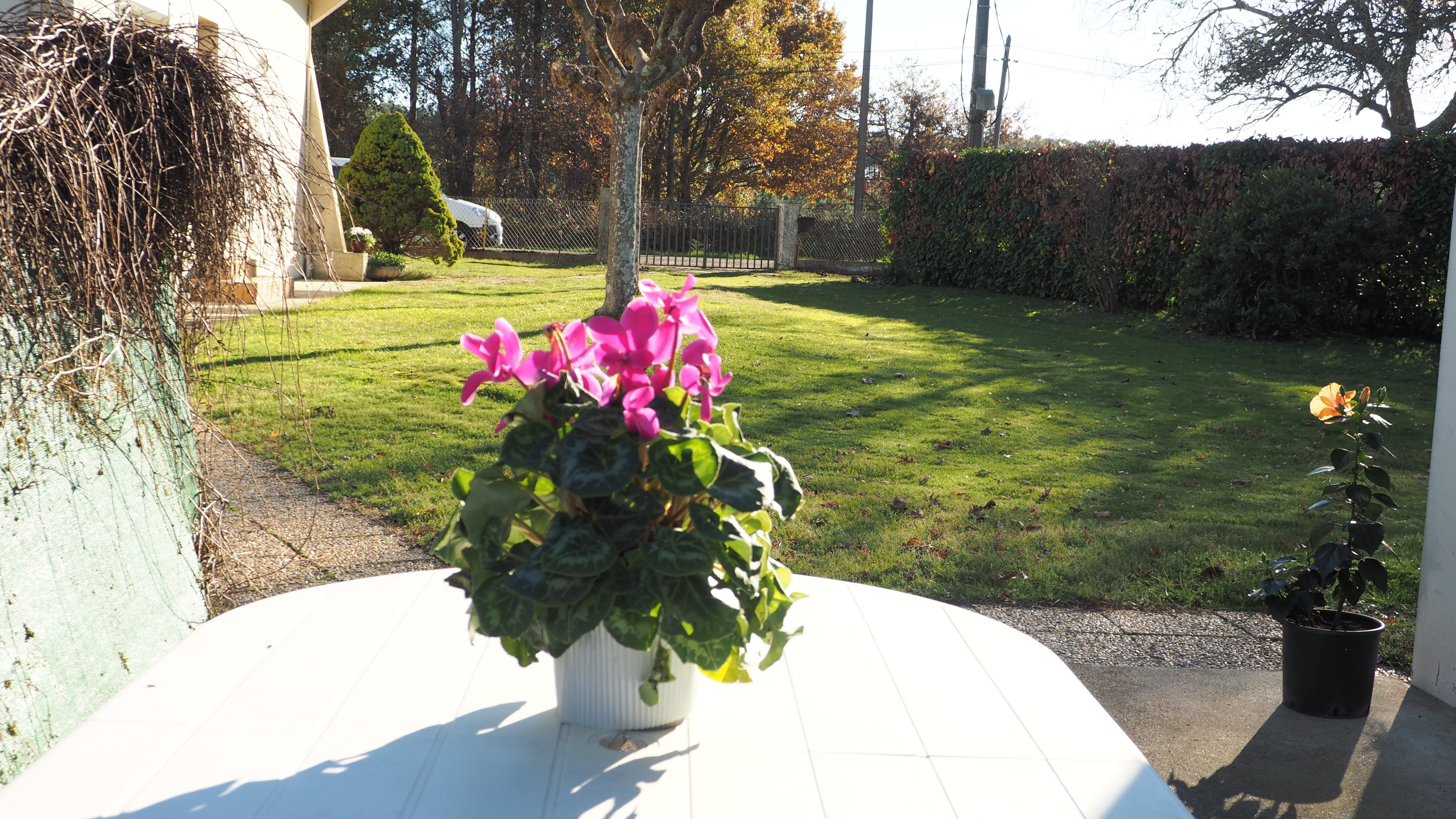 Mme DUFRANC Pierrette - photo 4