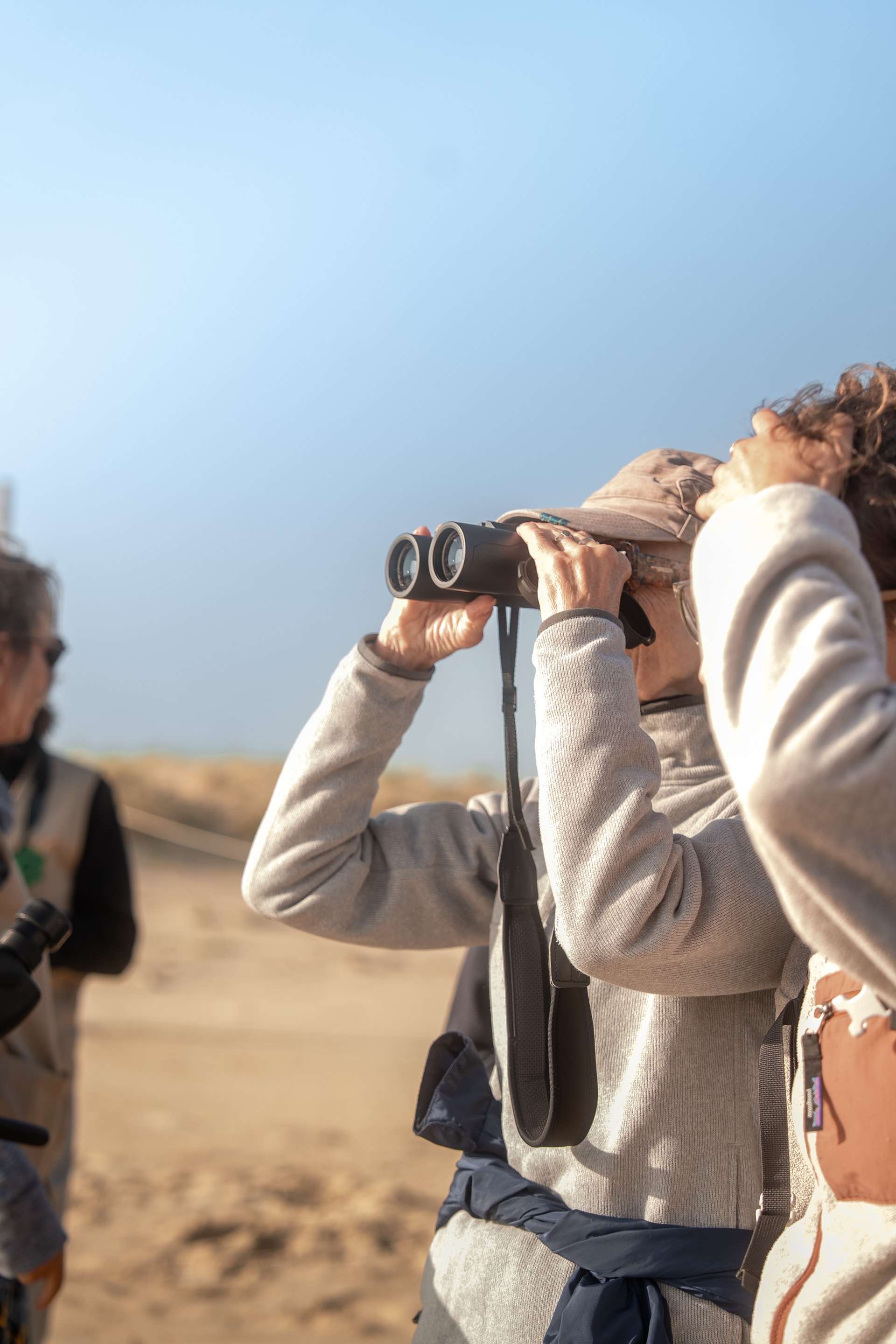 Visite guidée de la Dune du Pilat au Banc d&rsquo;Arguin