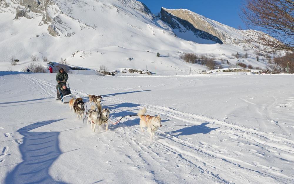 Traineaux à Chiens à Eaux Bonnes 64 Activités