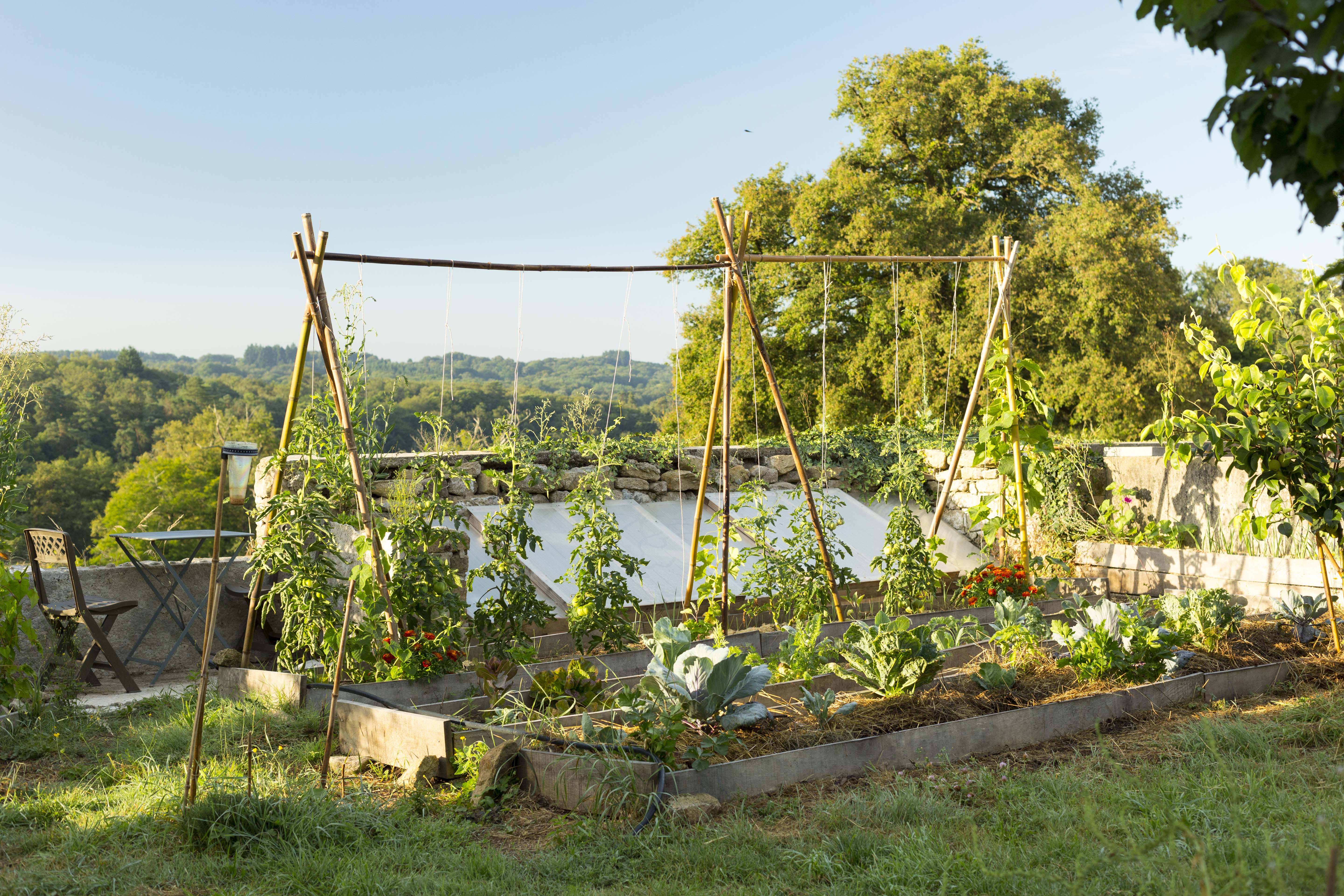 Jardin-forêt Les Blaireautin•es