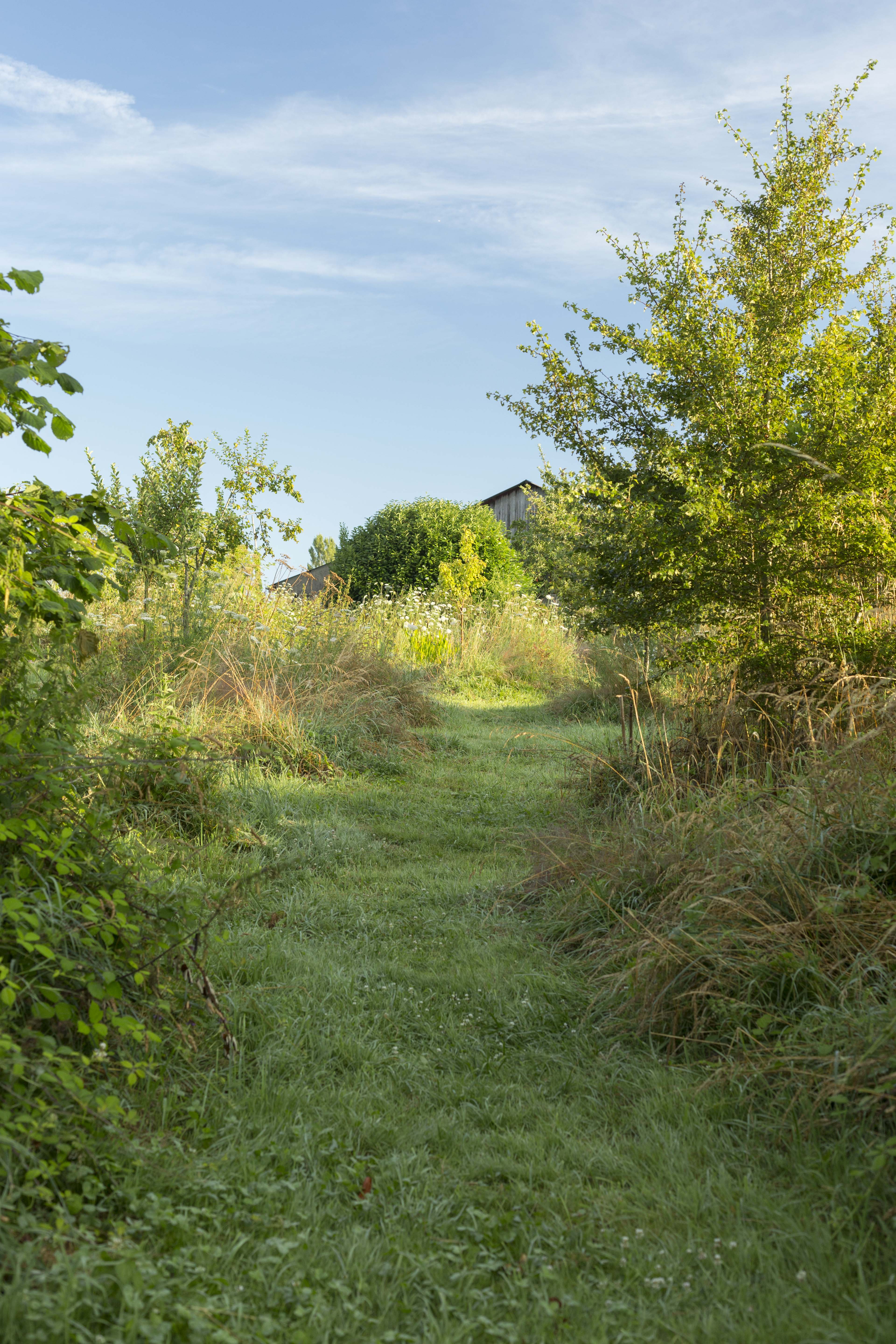 Jardin-forêt Les Blaireautin•es, Crozant - photo 6