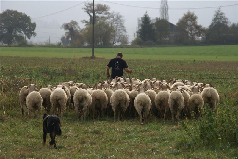 Ferme du Payssas - Olivier MAURIN